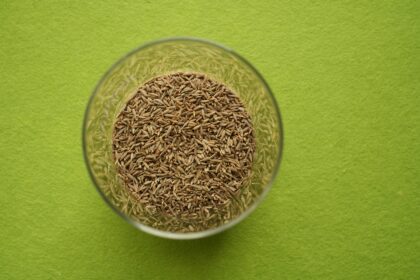 A Glass Bowl with Cumin