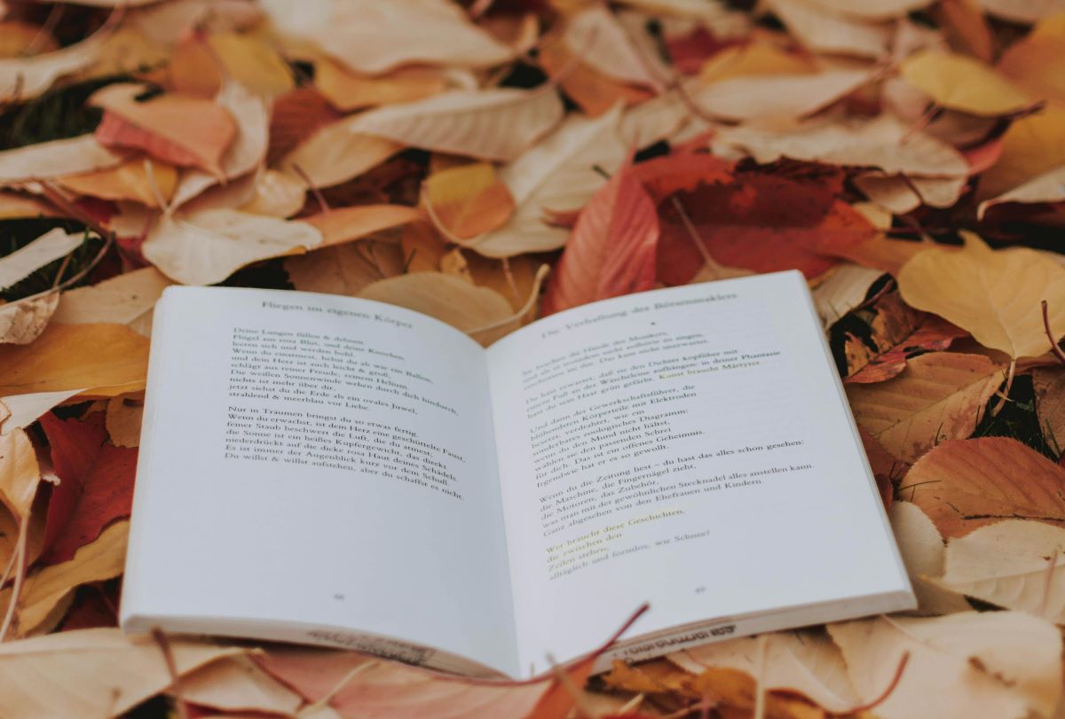 Book on Brown Leaves