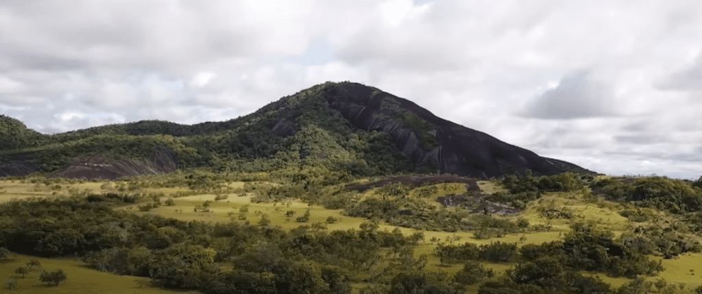 Rupununi Savannah