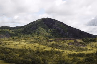 Rupununi Savannah