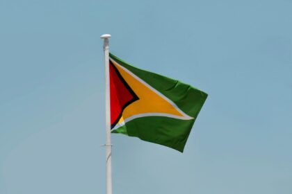 Guyana National Flag Swaying