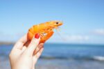 Person Holding Shrimp