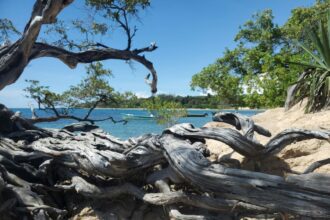 Treasure Beach, St. Elizabeth Parish, Jamaica