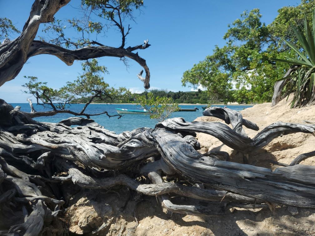 Treasure Beach, St. Elizabeth Parish, Jamaica